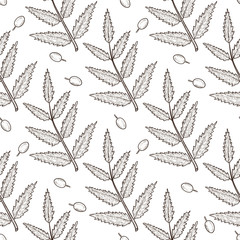 Neem. Berry, sheet, branch. Background, wallpaper, seamless. Sketch. Monophonic