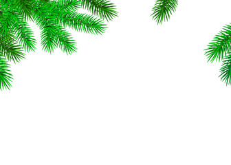 Fir  branch on white background for  Christmas decoration.