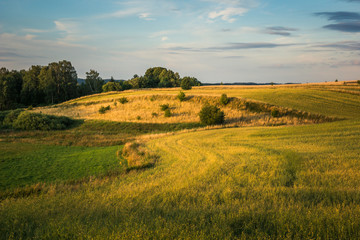 Fototapeta na wymiar Landscape with masurian meadows near Banie Mazurskie, Masuria, Poland