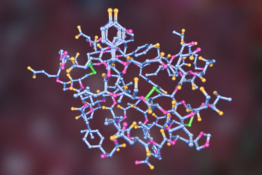 Molecular Model Of Insulin Hormone, 3D Illustration. It Is Produced By Pancreas And Takes Part In Glucose And Lipid Metabolism