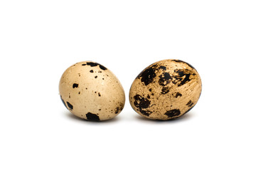 Quail eggs on white background