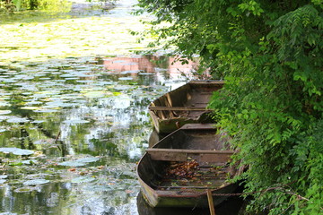 Marais poitevin