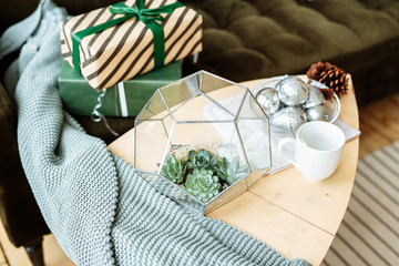 Decorative houseplants in winter. Florarium with fresh flowers on the table in a bright living room, decorated for Christmas.