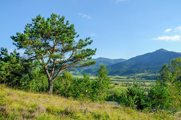 Obraz premium Bright green mountains in the summer