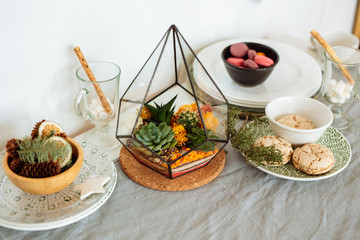 Decorative houseplants. Florarium with fresh flowers on the table in the kitchen decorated for Christmas.