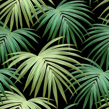 Dark tropical background with jungle plants. Seamless vector tropical pattern with green palm leaves.