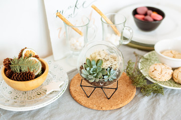 Decorative houseplants. Florarium with fresh flowers on the table in the kitchen decorated for Christmas.