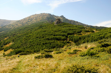 Fototapeta premium Bright green mountains in the summer