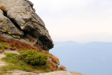 Bright green mountains in the summer