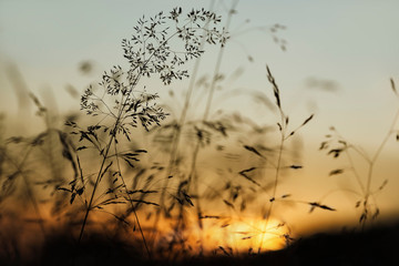 Gegenlichtaufnahmen Sonnenuntergang