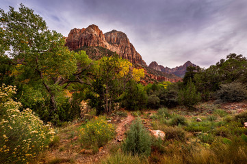 Zion National Park