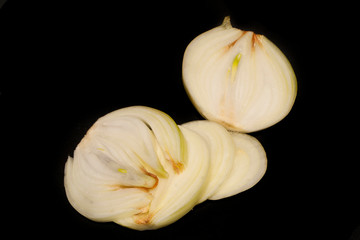 onion isolated on white background