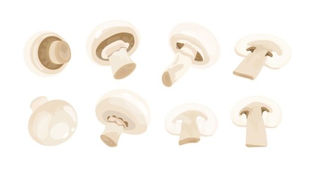 Collection of whole and cut into slices edible champignon mushrooms isolated on white background. Tasty fresh raw product, organic vegan food ingredient. Vector illustration in flat cartoon style.