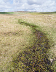 shetland landscape
