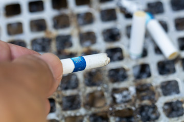Hand with Ashtray and cigarettes