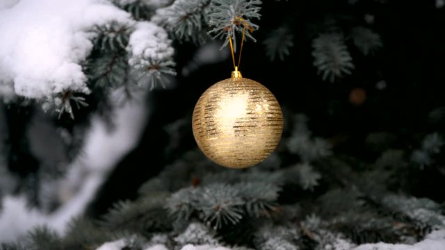     A golden ball hanging on the branches of a snow-covered fir 