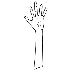 Palm icon. Vector illustration human hand palm. Hand drawn arm.