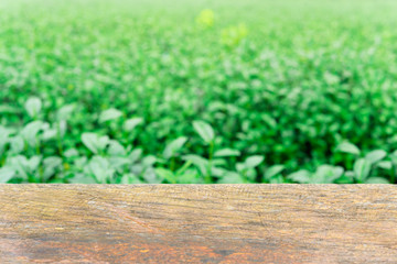 Empty wooden table with fresh green tea  leaves as background ,Template mock up for display of montage product.
