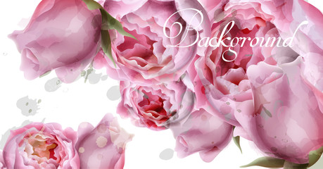 Peony flowers watercolor background Vector. delicate postcard, Women day greeting card. Beautiful pastel colors
