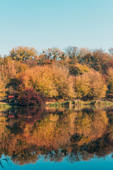 Golden trees in autumnal forest and calm lake