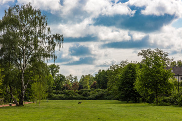 Green field and dramatic sky