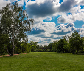 Green field and dramatic sky