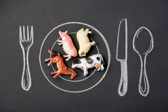 Toy pig, cow, horse and sheep on a plate in the figure on a chalk board
