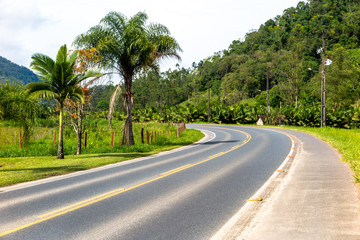 Fototapeta na wymiar Curve in asphalt road with bike path, banana tree, palm tree and other trees, sunny day, Pomerode, Santa Catarina