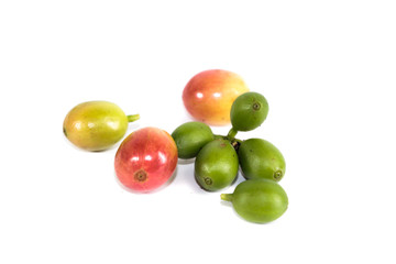 Arabica coffee Close up