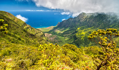 Panorama View over Kalalau Valley, Kauai, Hawaii