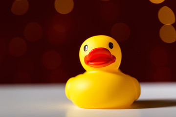 Rubber duck toy on a shiny light dark red background