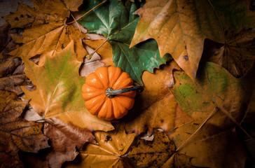 Pumpkin and maple leaves on wooden background, above view