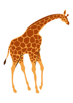 Stylized illustration of giraffe.