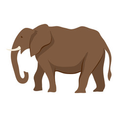 Obraz premium Stylized illustration of elephant.