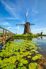 view of traditional windmills in Kinderdijk, The Netherlands.