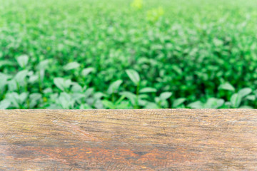 Empty wooden table with fresh green tea  leaves as background ,Template mock up for display of montage product.