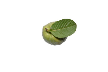 Guava isolated on white background with clipping path. Top view