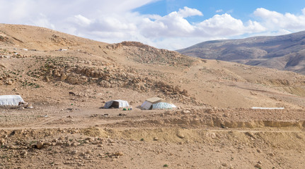 Several  Bedouin tents in the desert near the capital of Jordan - Amman