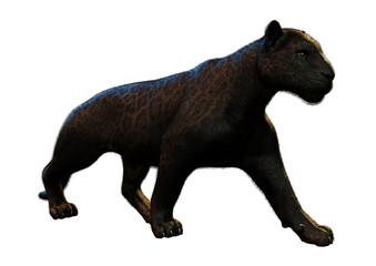 Fototapeta premium 3D Rendering Black Panther on White