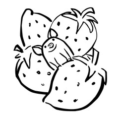 funny vector small pig and giant strawberry