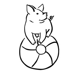 funny cartoon vector pigglet on the beachball