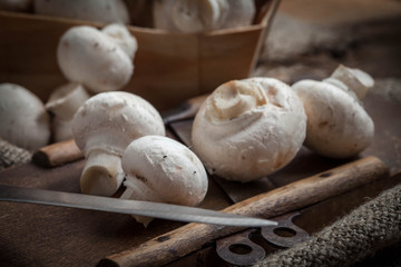 Freshly harvested mushrooms.