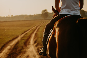 Young woman horseriding in sunset on the fields. Close up