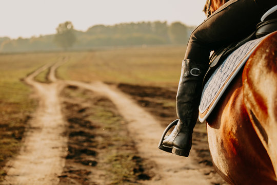 Young woman horseriding in sunset on the fields. Close up