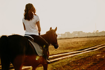 Young woman horseriding in sunset on the fields. Close up