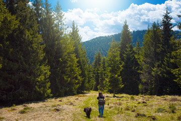 Obraz premium Woman and her dog take a walk in the forest