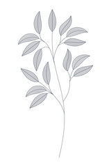 branches with leaves isolated icon