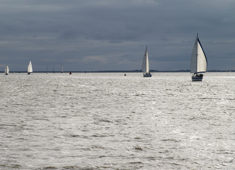 sailboats following the wind