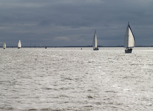 sailboats following the wind