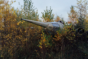 the old plane stands in the bushes and rust. dust-covered the entire plane in the dirt.